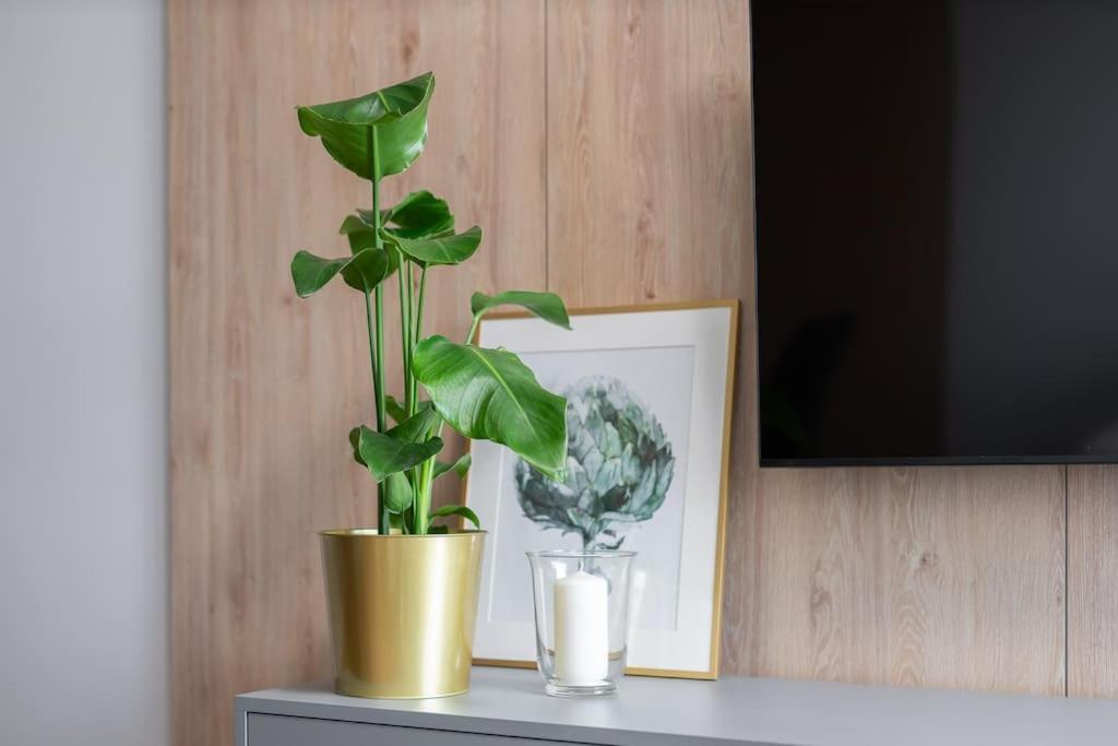 Echo Nowe Jezyce Apartament *