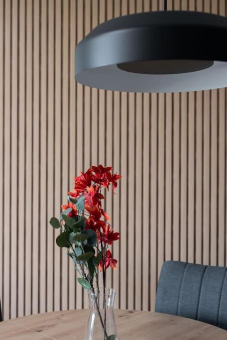 Apartament Echo Nowe Jezyce *